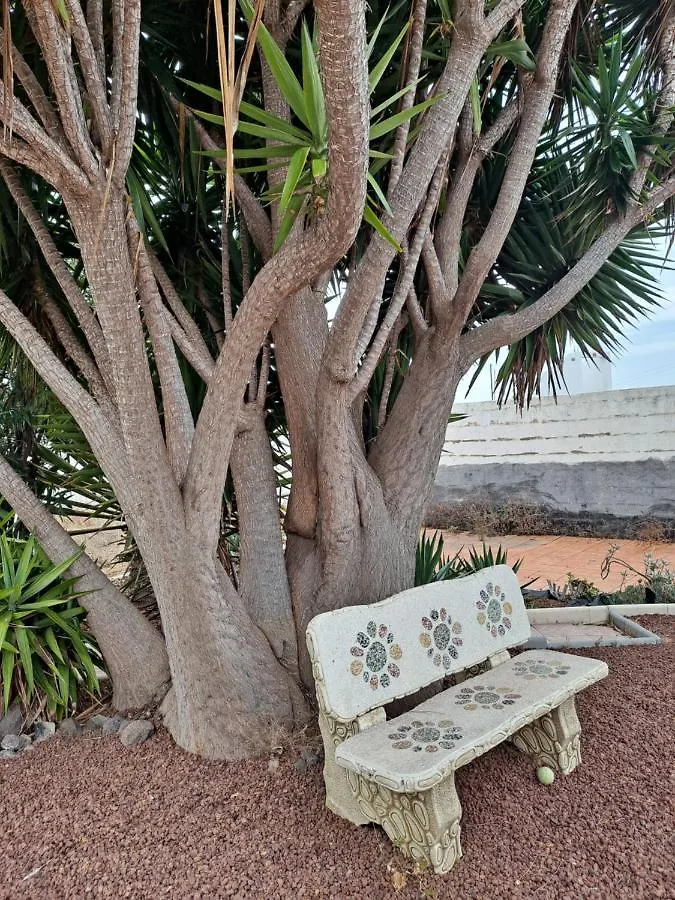 Tenerife Apartment 100M2 Casa De Don Quijote With A Terrace Of 100M2 With A View Of The Ocean And Teide Volcano And A Garden Of 600M2 Icod De Los Vinos
